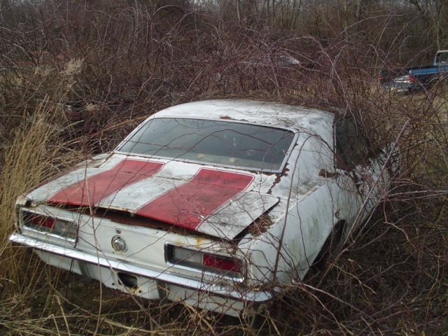 Chevrolet auto
 - cool image
