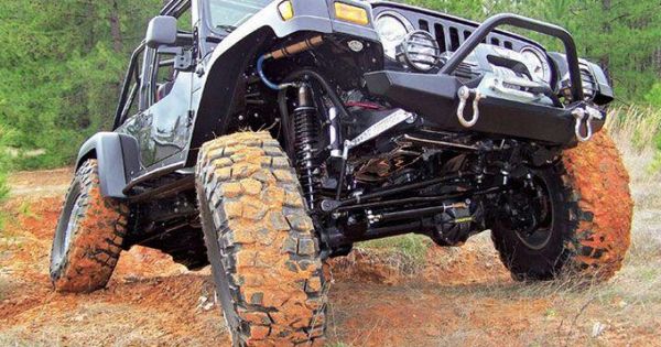 Jeep - cute photo
