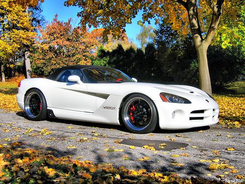 Dodge - White Mamba Viper